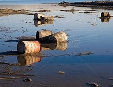 陈一佳：美亿万企业倒闭，创投业敲响警钟