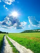 王新宇?的乡镇探访实录：那些你不知道农村淘宝真相