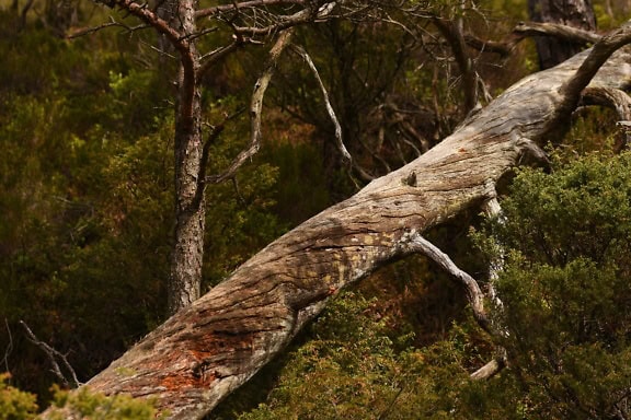 我爱洗车：坑了170名员工，败光500万，CEO跑了