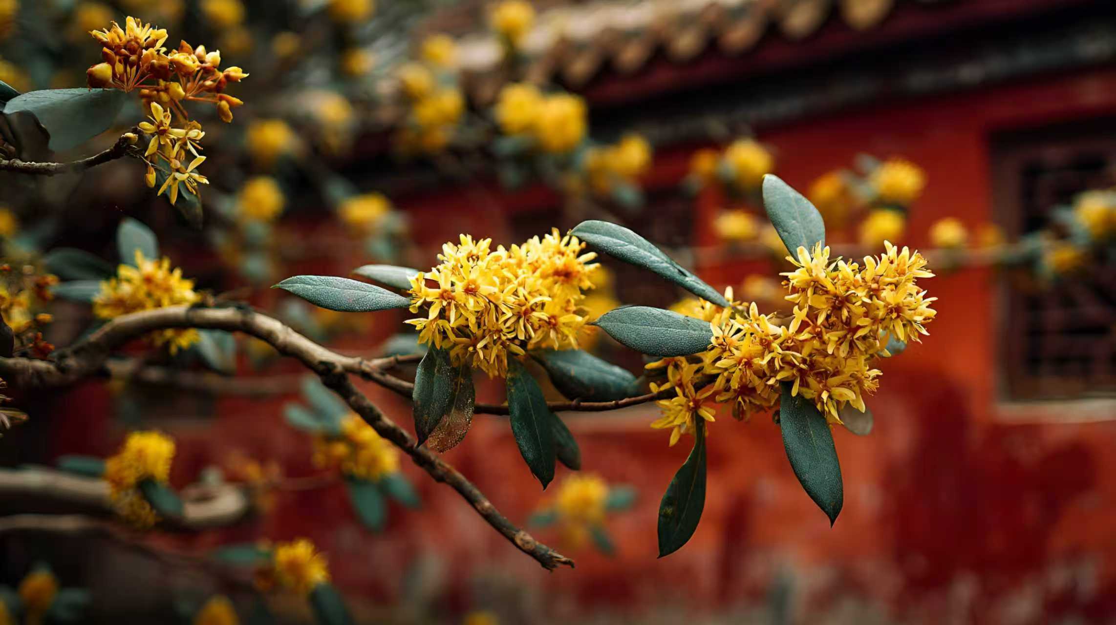 全国28地区上调最低工资标准