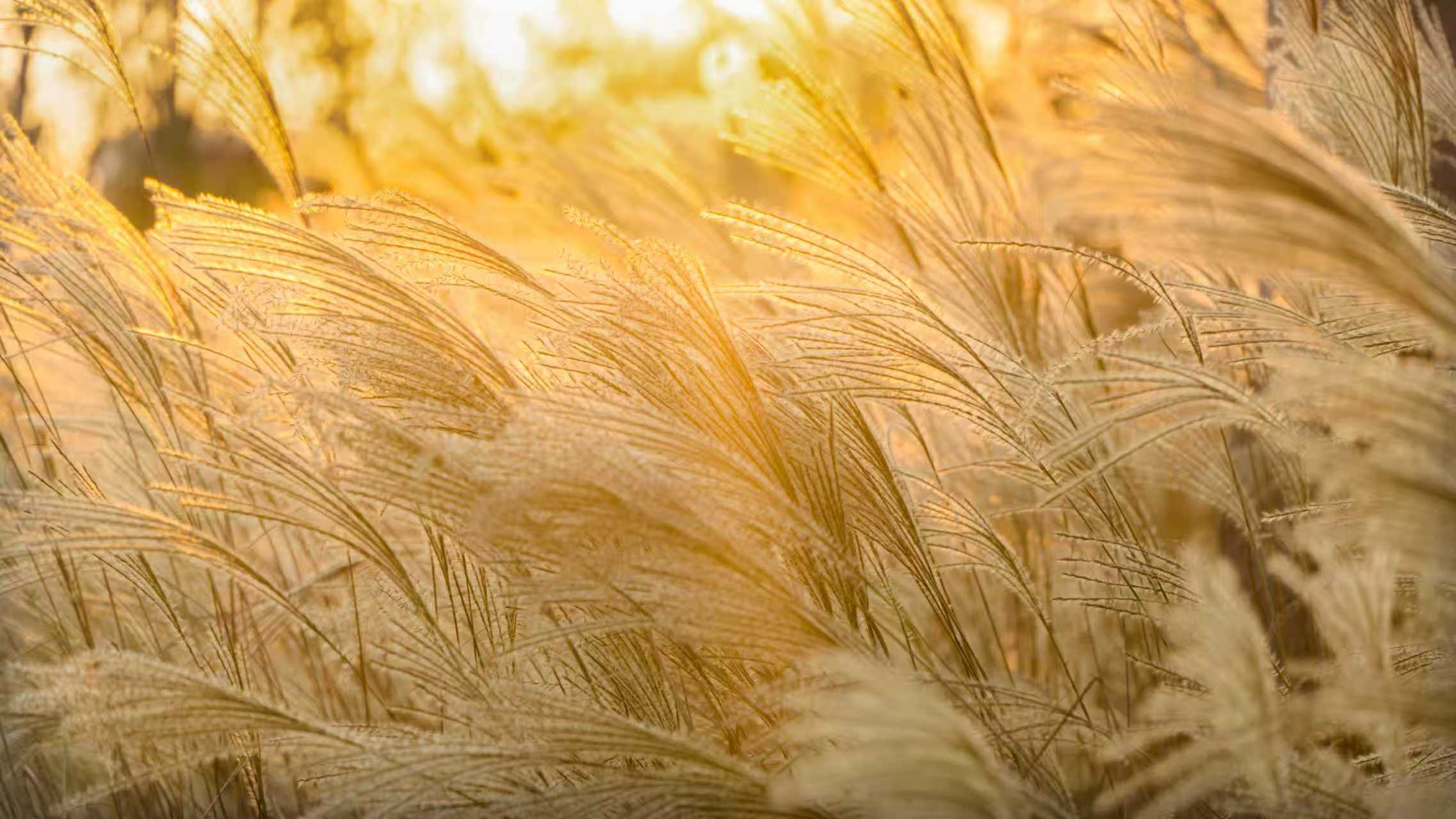 年底了 这样的公司待不得