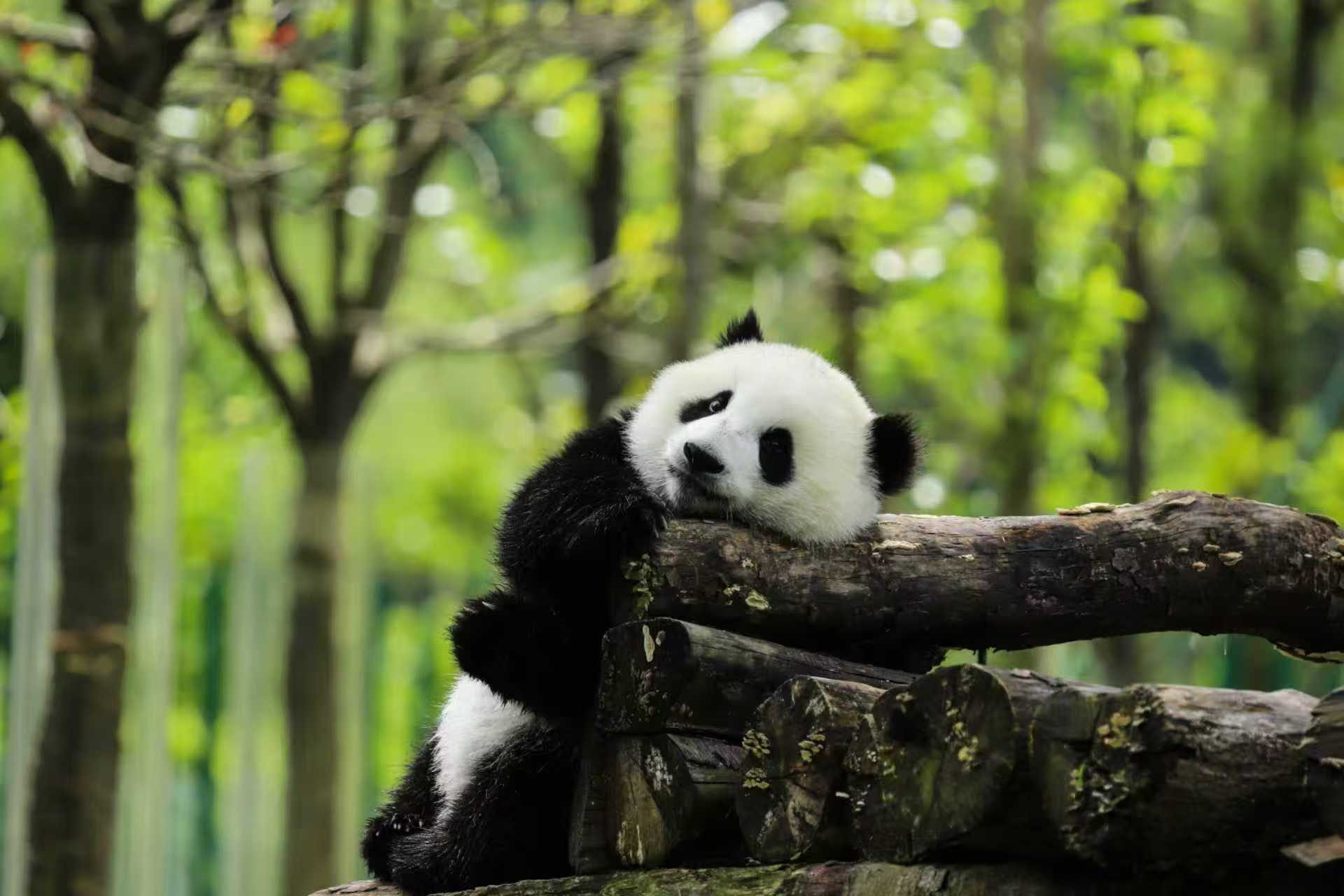 换位思考：面试时遭遇“偏题”巧处理